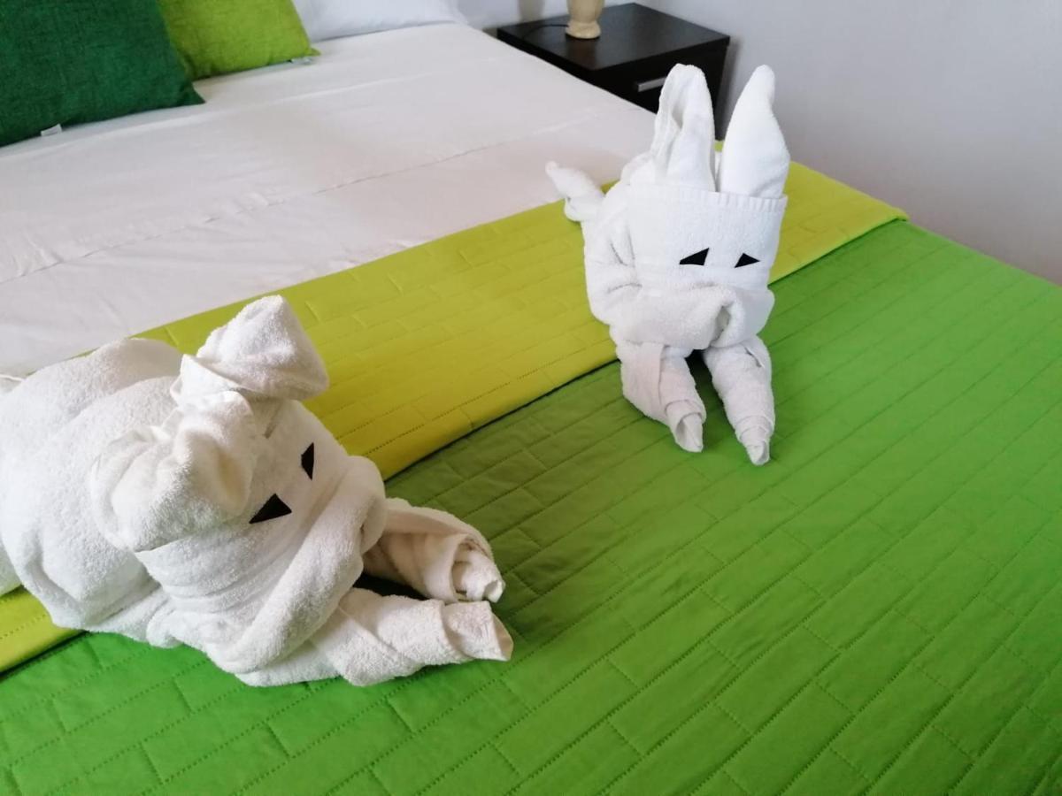 マルターノ Nicuzza Bed & Breakfast エクステリア 写真